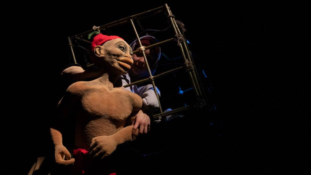 Roodkapje-in-Amazonia-6-By-Duda-Paiva-Company-X-Koko-EXG-WEB-Horizontaal-86-1024x576